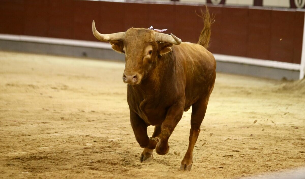 Foto: Iván de Andrés