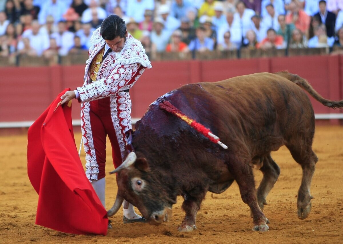 Morante, premio "Al detalle para el recuerdo" del Hotel Vincci La Rábida de Sevilla