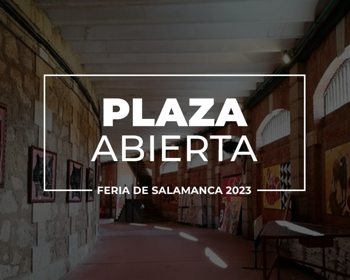 Regresa a Salamanca la iniciativa "Plaza Abierta"