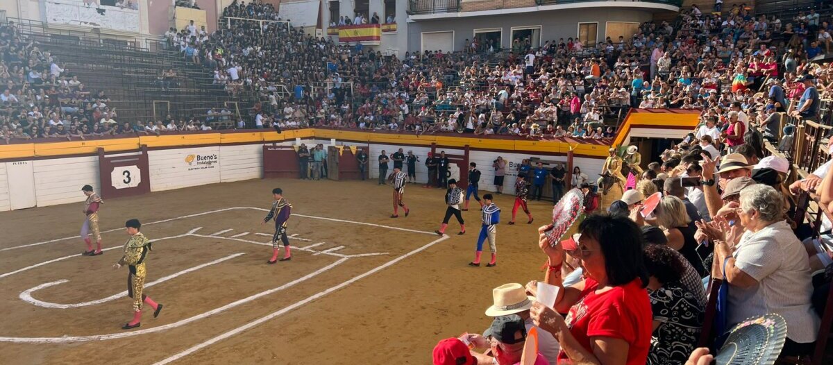 Algemesí hace oficial el elenco ganadero para su feria de novilladas