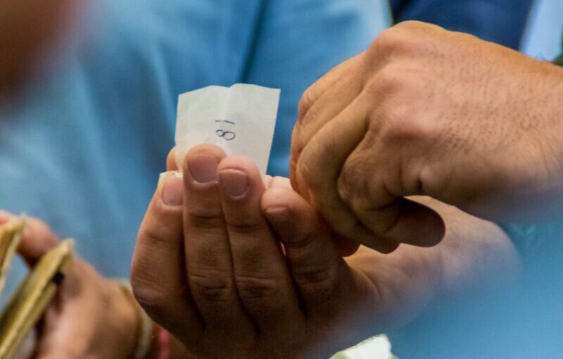 Cuatro de Núñez del Cuvillo y dos de Luis Algarra para el cartelazo de Albacete