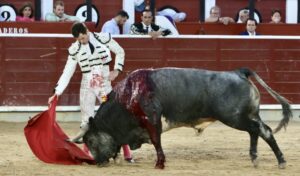 Daniel Luque, en Albacete. Foto: Antonio Vigueras.