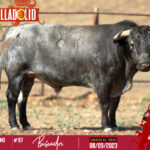 Buscador, número 87, primero de la tarde.