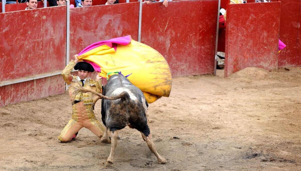 Tres espectáculos para una variada Feria de San Miguel en El Hoyo de Pinares