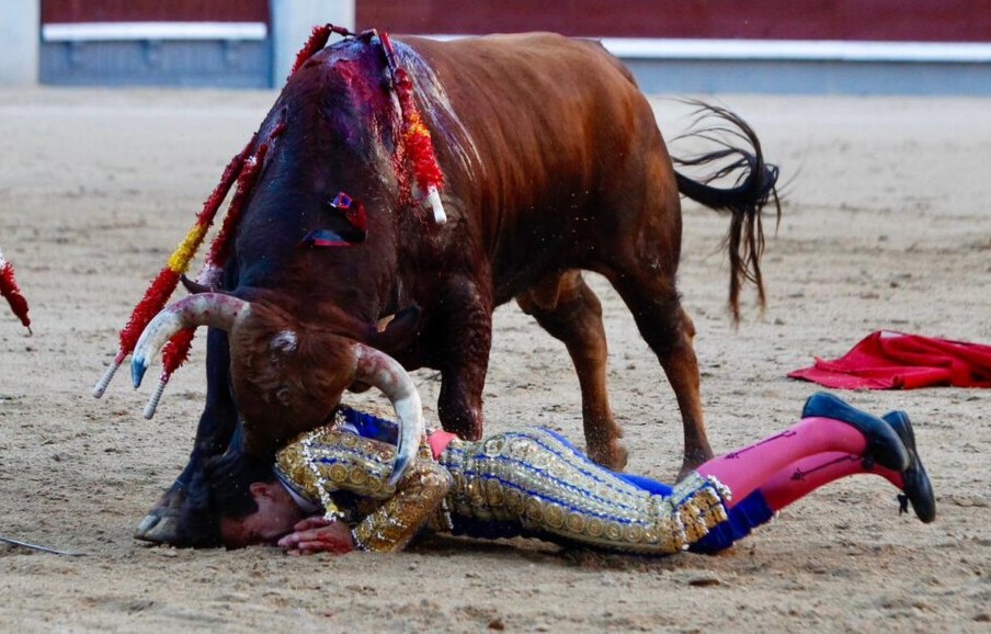 Ismael Martín, luxación en el hombro derecho de pronóstico reservado en Las Ventas