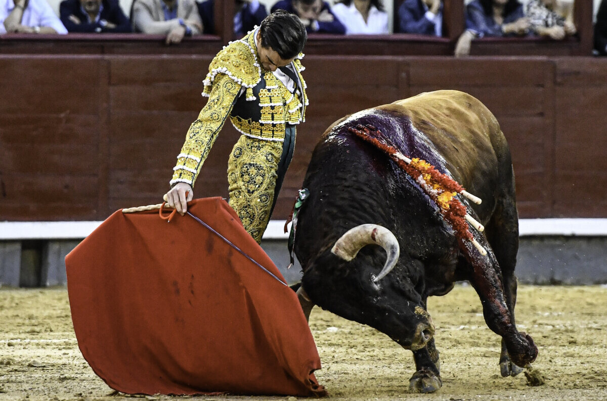 Juan Ortega: “No se puede permitir llegar a Madrid de sopetón, las tardes hay que trabajarlas en la mente”