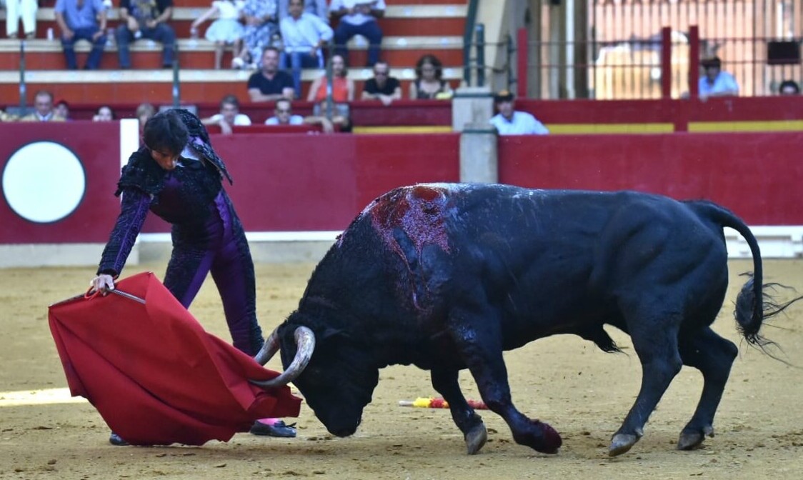 Paulita y Pinar dejan buen sabor de boca en una descafeinada concurso en Zaragoza