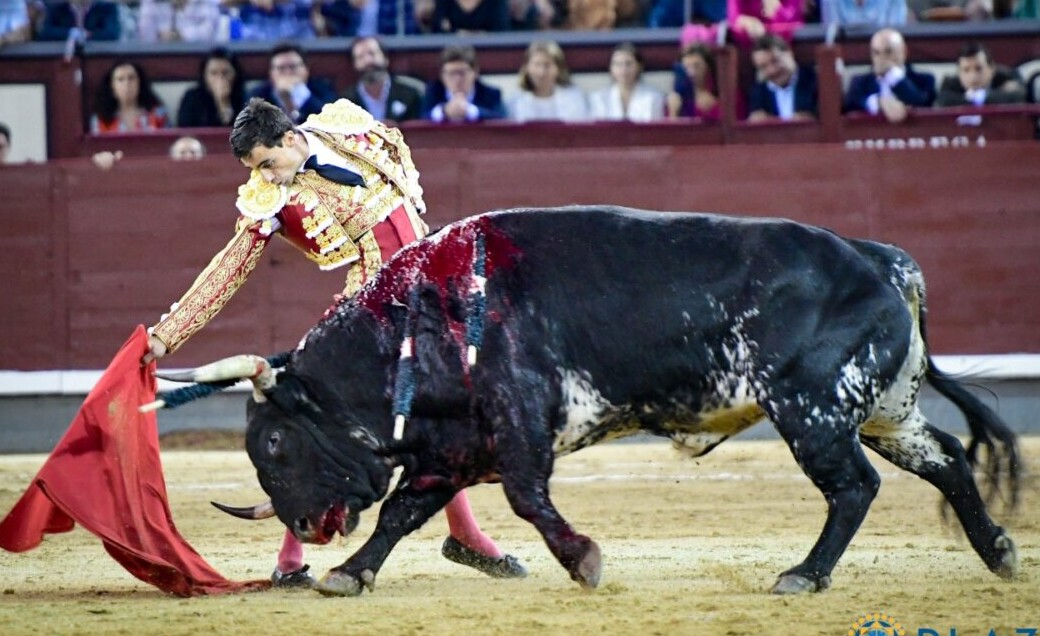 Andaluz rompió la racha: siete años después de Cazarratas, un toro de banderillas negras en Madrid