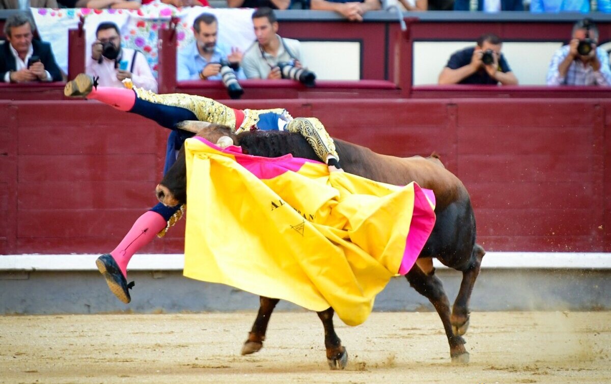 Álvaro Serrano, cornada de dos trayectorias de 15 y 10 cm que produce destrozos en aductores y vasto interno