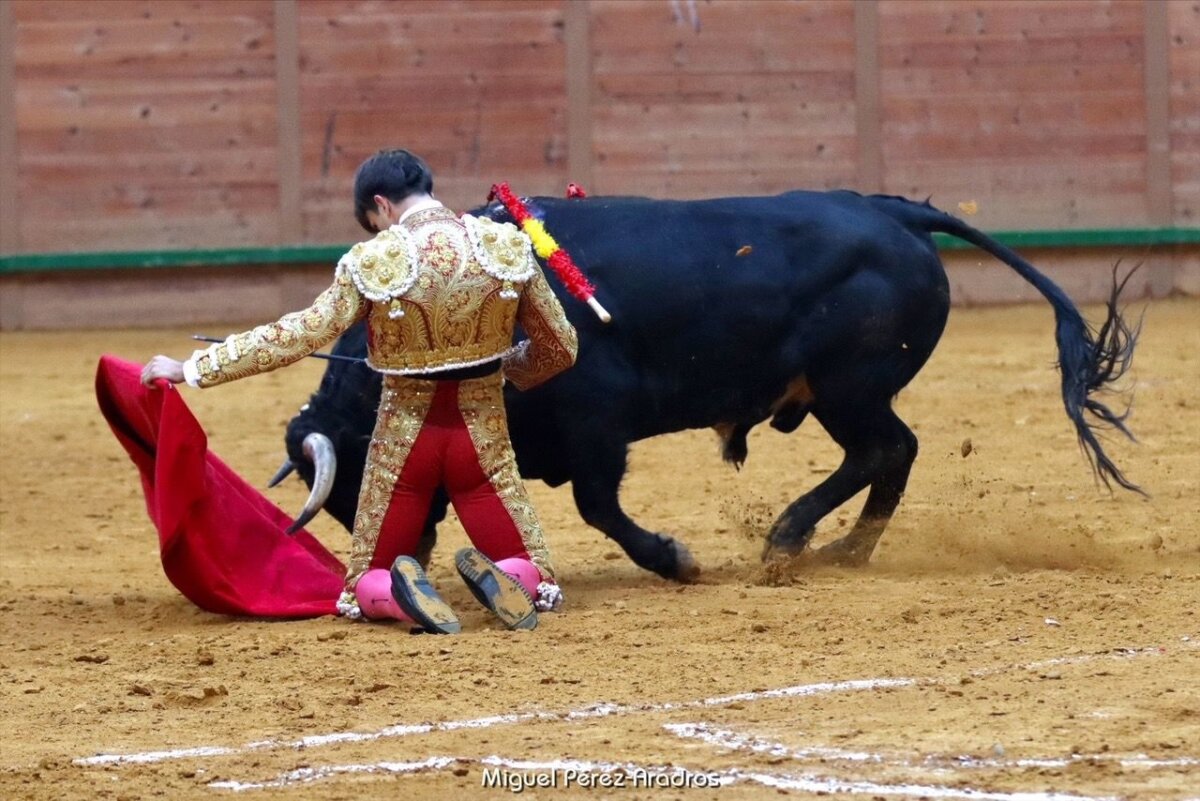 Cristiano Torres, Manuel Caballero y el picador Jorge Martínez, lesiones de pronóstico leve en Arnedo