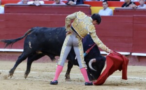 Alejandro Peñaranda, en Valencia. Foto: Antonio Vigueras