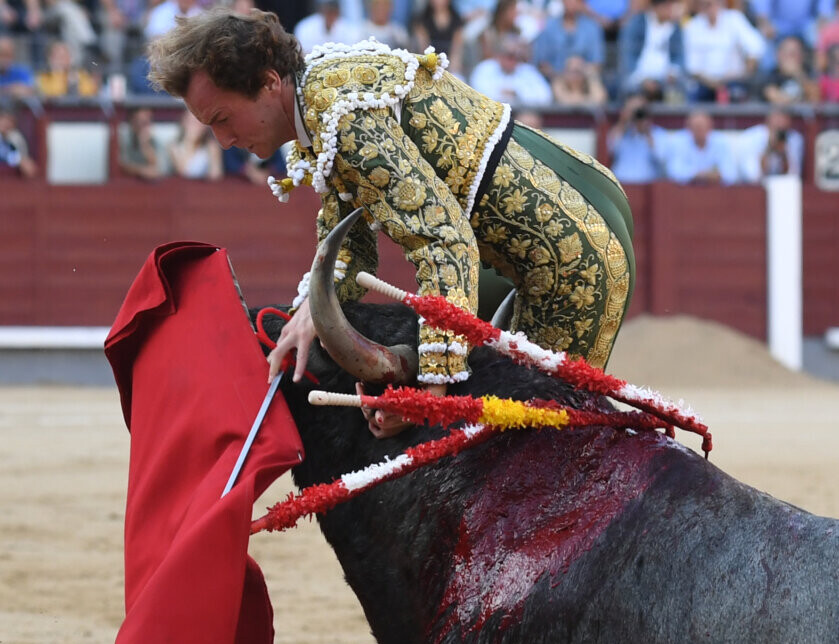 Román, cornada ascendente y hacia dentro de 20 cm en el muslo derecho