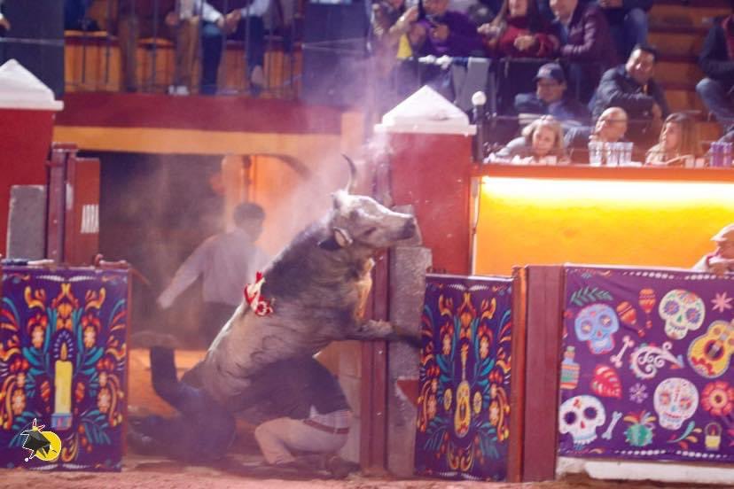 El doble salto al callejón de Mochilero, que hirió al picador Víctor Ortega y al portero Gerardo Sánchez, en vídeo