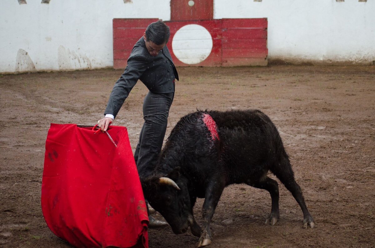 Juan Ortega se prepara en el campo para su duelo con Roca Rey en Latacunga