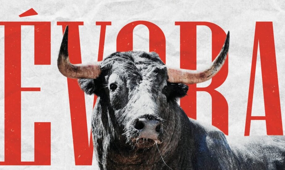 Miura, Partido de Resina, Palha... seis ganaderías de leyenda se citan en un duelo ganadero ibérico en Évora