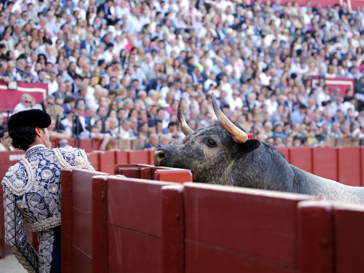 La Fiesta de los tres tenores