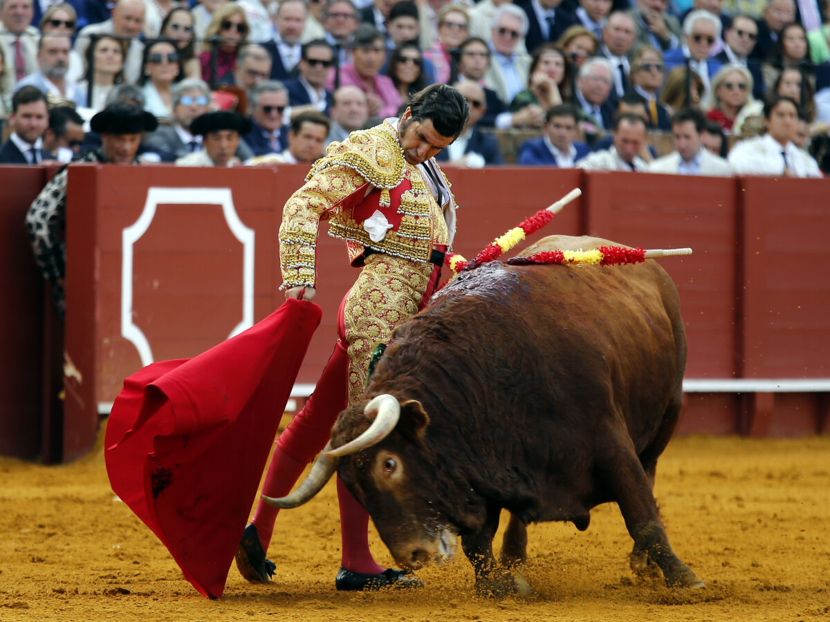 La batalla de los despachos al rojo vivo