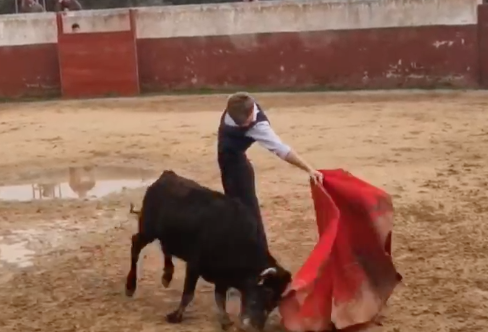 Borja Jiménez le forma un lío a una vaca de Castillo de Azuel