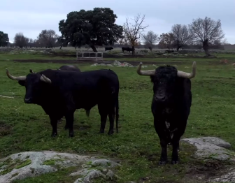 Baltasar Ibán, en el Domingo de Resurrección de Aignan