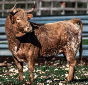 Belleza de Concha y Sierra para 2024 I Instagram Concha y Sierra