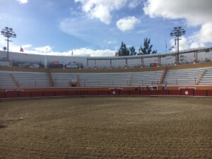 Plaza de toros de Cartaxo I MARIBEL PÉREZ