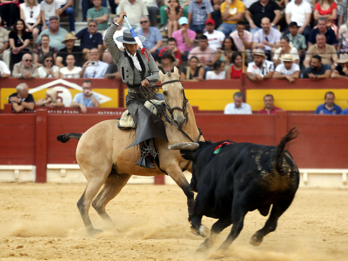 Lea Vicens: una ascensión sin límite