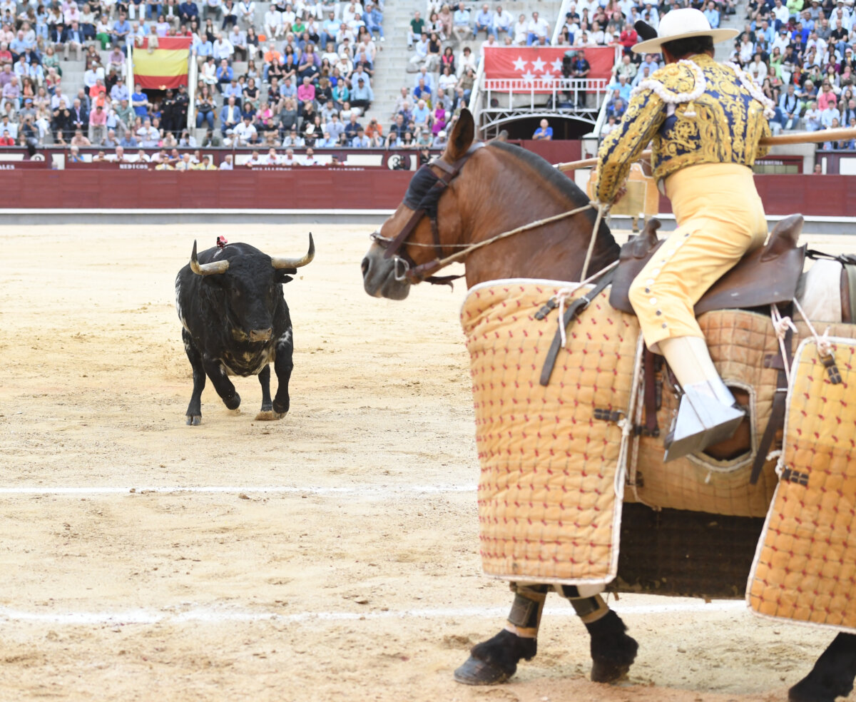 Domingo González: "A De Manuel le penalizó no dar el tercer puyazo, pero si se gasta el toro, se acabó la faena"
