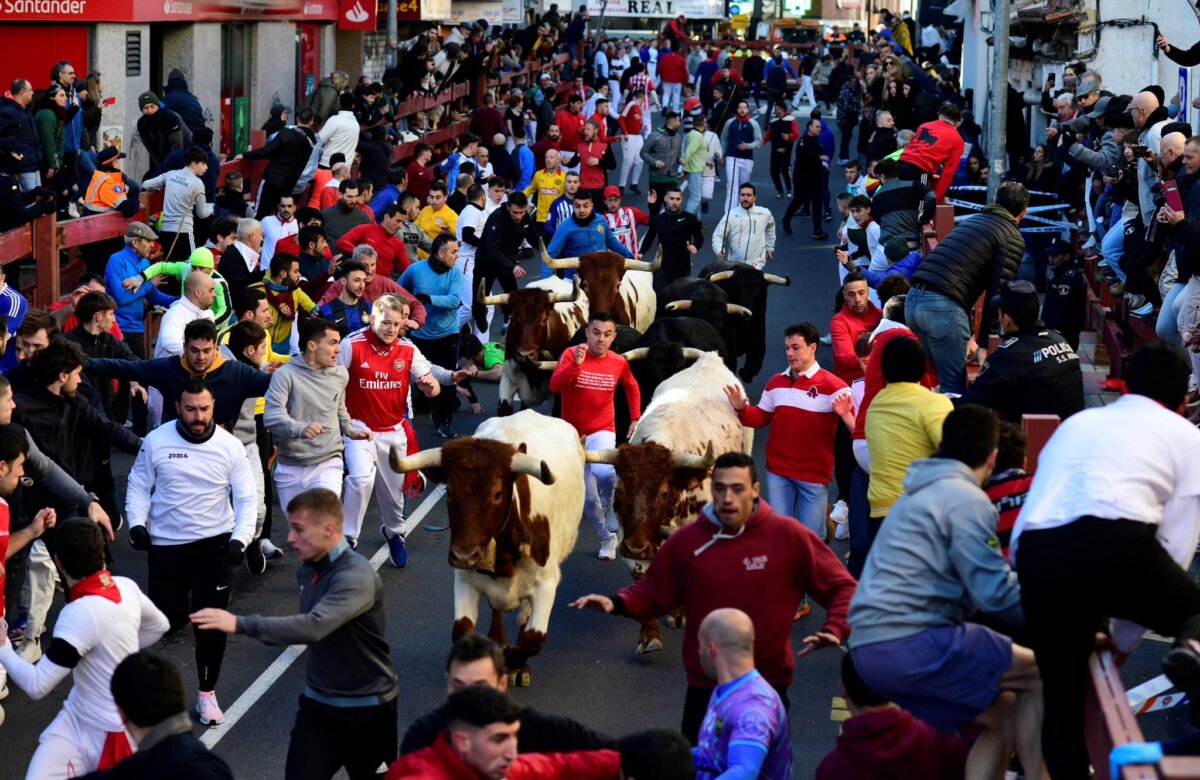 Los toros de García Jiménez protagonizan un emocionante primer encierro blanco en San Sebastián de los Reyes