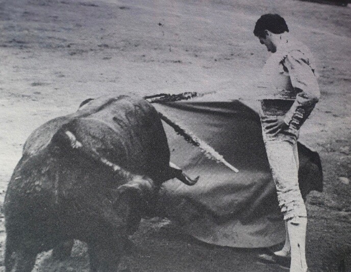 Enrique Ponce indulta al bravo Bolero en Manizales