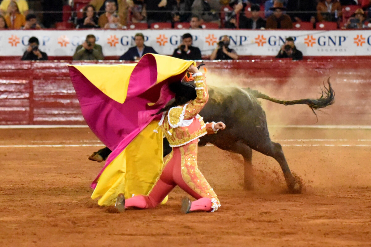 Rocío Morelli, oreja en la corrida de mujeres de la México