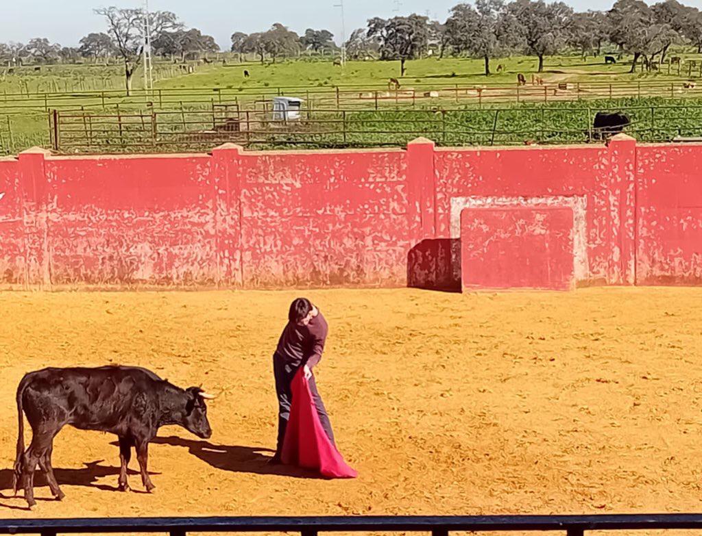 Esaú, preparándose en Zahariche. Al fondo, en una corraleta, el toro Guineo, al que le perdonó la vida en Sanlúcar.
