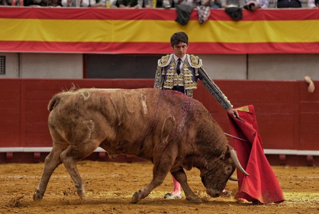Otro cartelazo para consolidar los toros en Navalmoral de la Mata