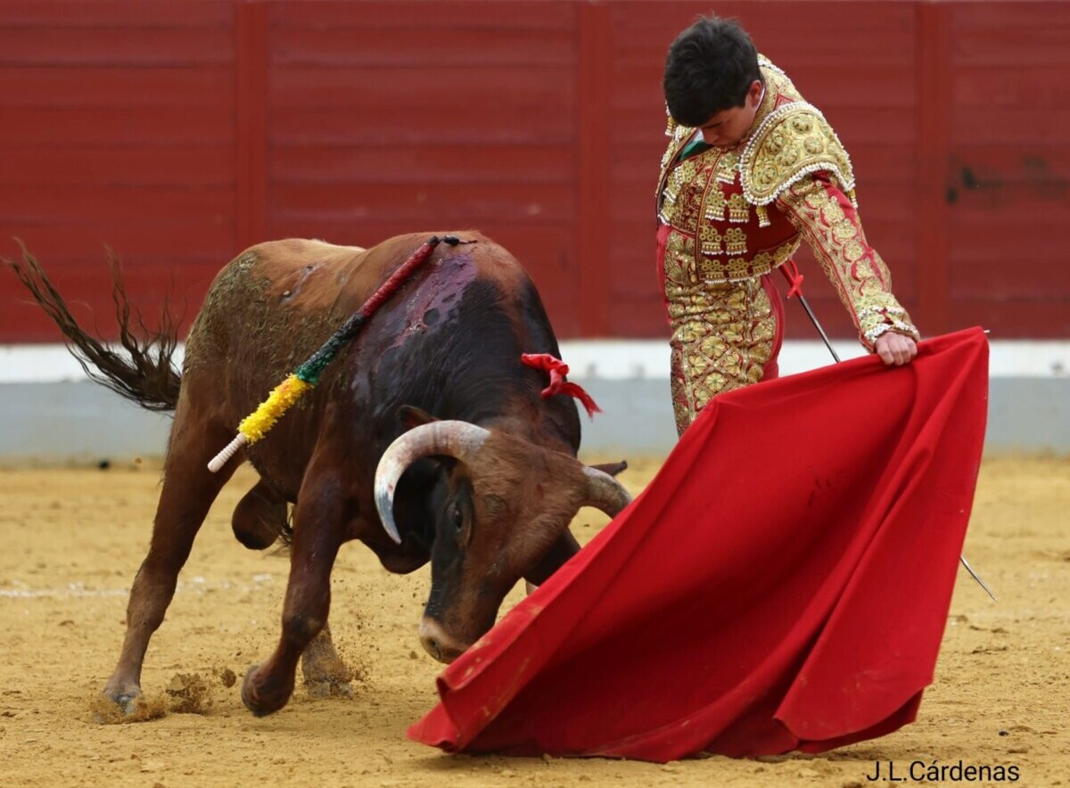 Jorge Hurtado sorprende en el inicio del Certamen del Alfarero de Plata