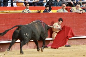 Foto: Antonio Vigueras