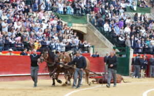 Foto: Antonio Vigueras