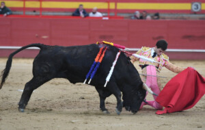 Samuel Navalón, el pasado viernes en Valdemorillo. Foto: Javier Arroyo