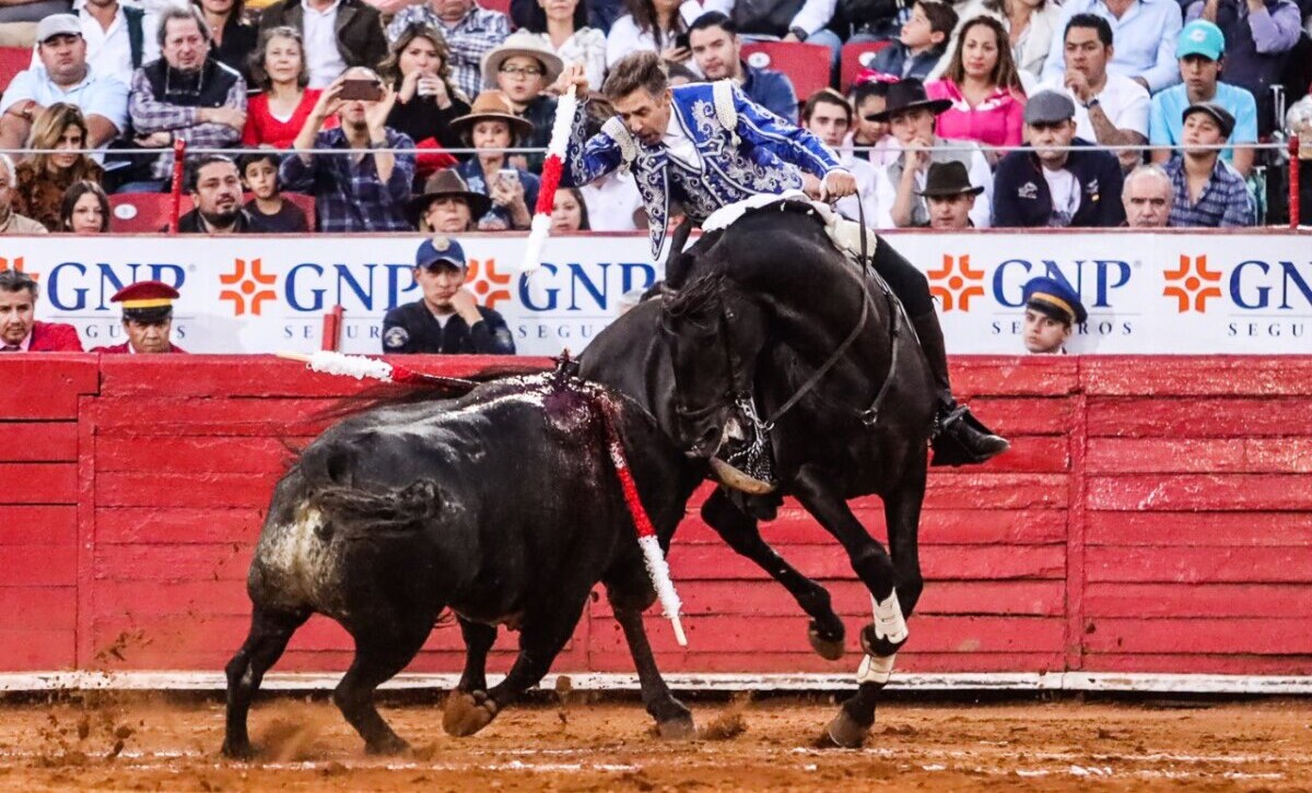 Pablo Hermoso: "Tenía claro que no me iba a despedir sin torear en la Plaza México"