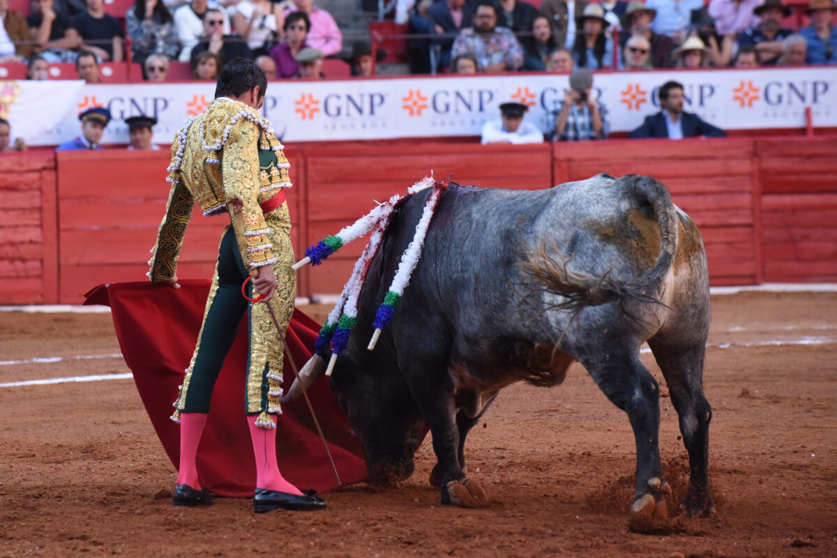 La confirmación de Emilio de Justo, en imágenes