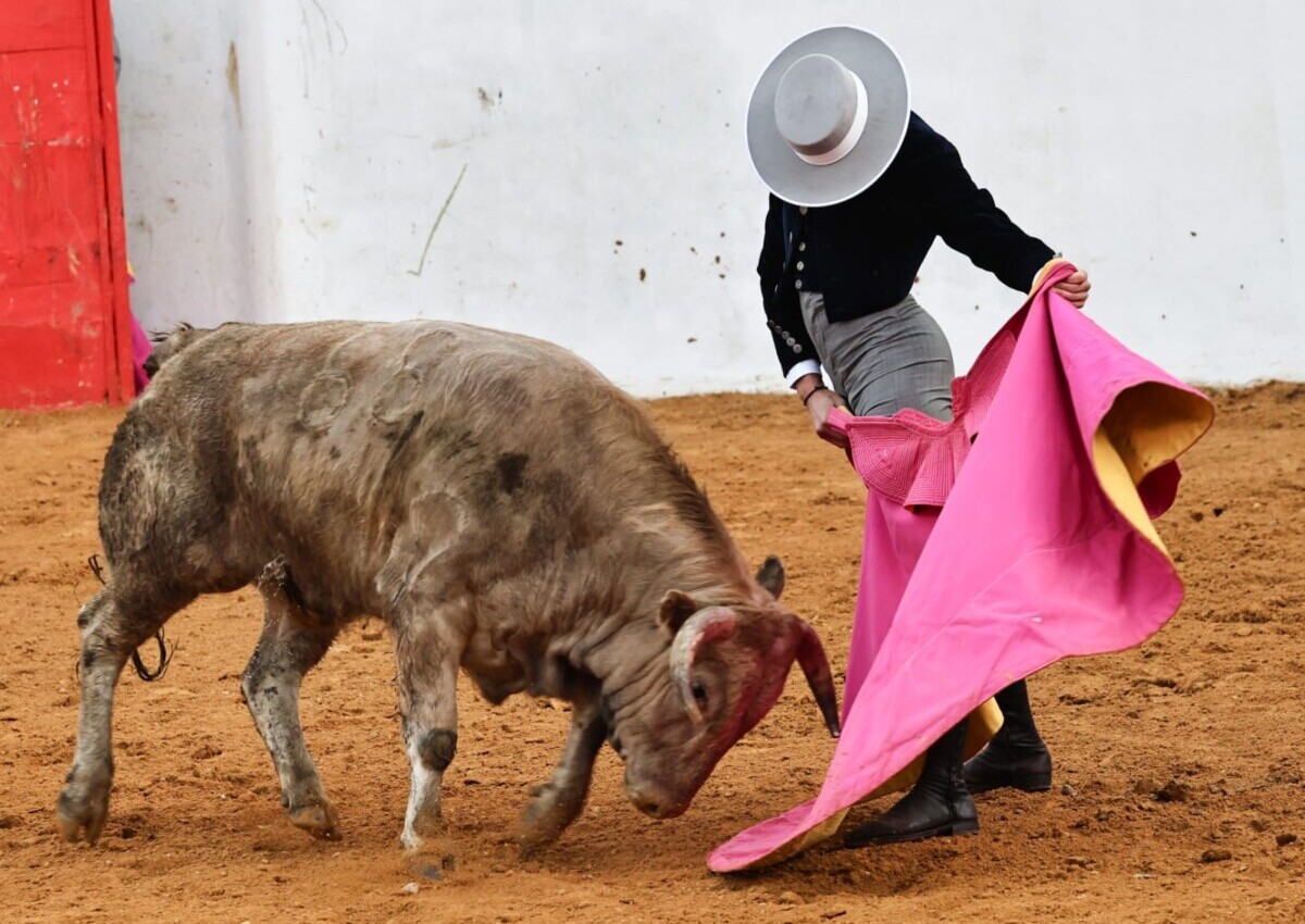 Otro lleno y buen toreo a pie en el segundo festival de Mourao