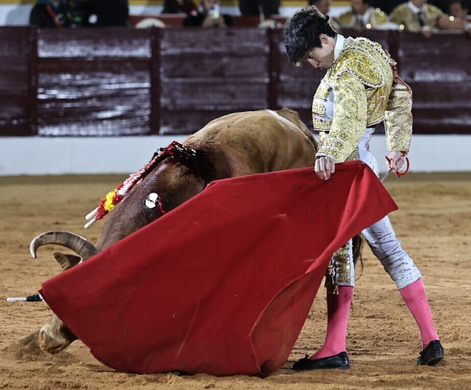 El Mella arrasa en Olivenza (La novillada, en imágenes)