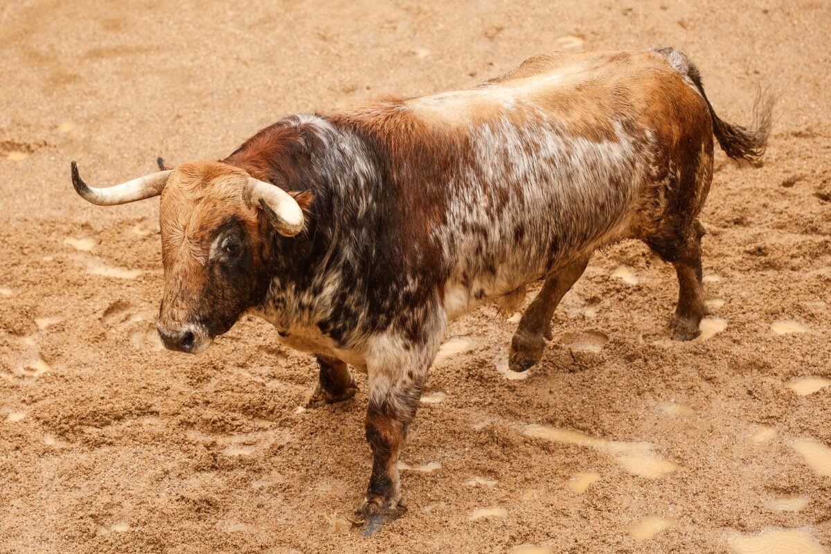 Esaborío inaugura la temporada taurina en Sevilla