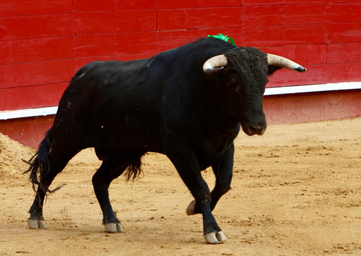 Fuente Ymbro y Valencia, el romance y la leyenda crecen
