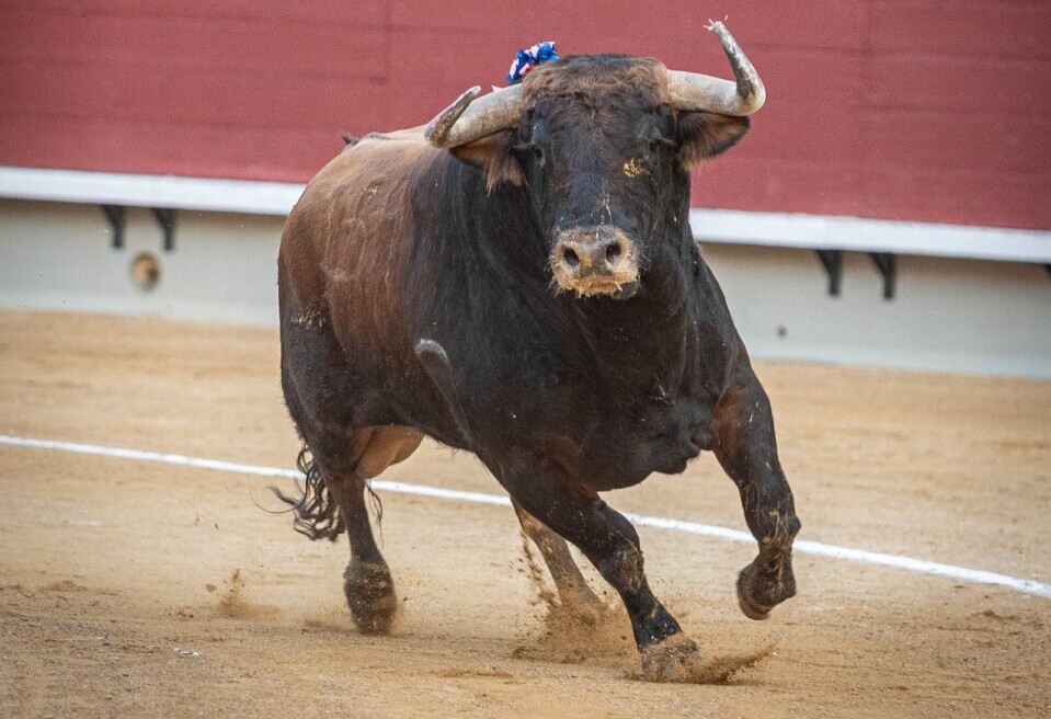 Juan Ortega y García Jiménez, premiados por el Casino Antiguo-Círculo Taurino de Borriol