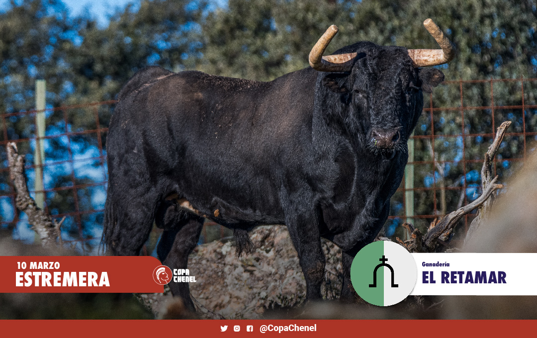 Los toros de El Retamar y Hermanos Cambronell para Estremera