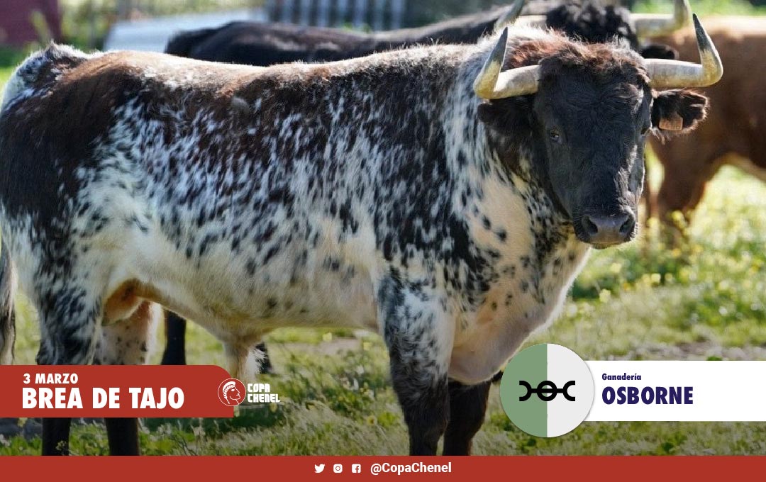 Los toros de El Estoque y Osborne para el domingo en Brea de Tajo
