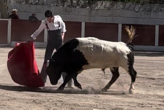 Armillita IV reaparece tres meses después: "Ha sido un proceso largo y doloroso"