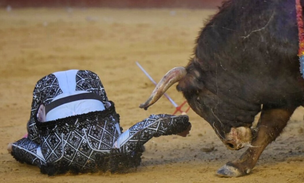 Dos sobrecogedoras cogidas a Román