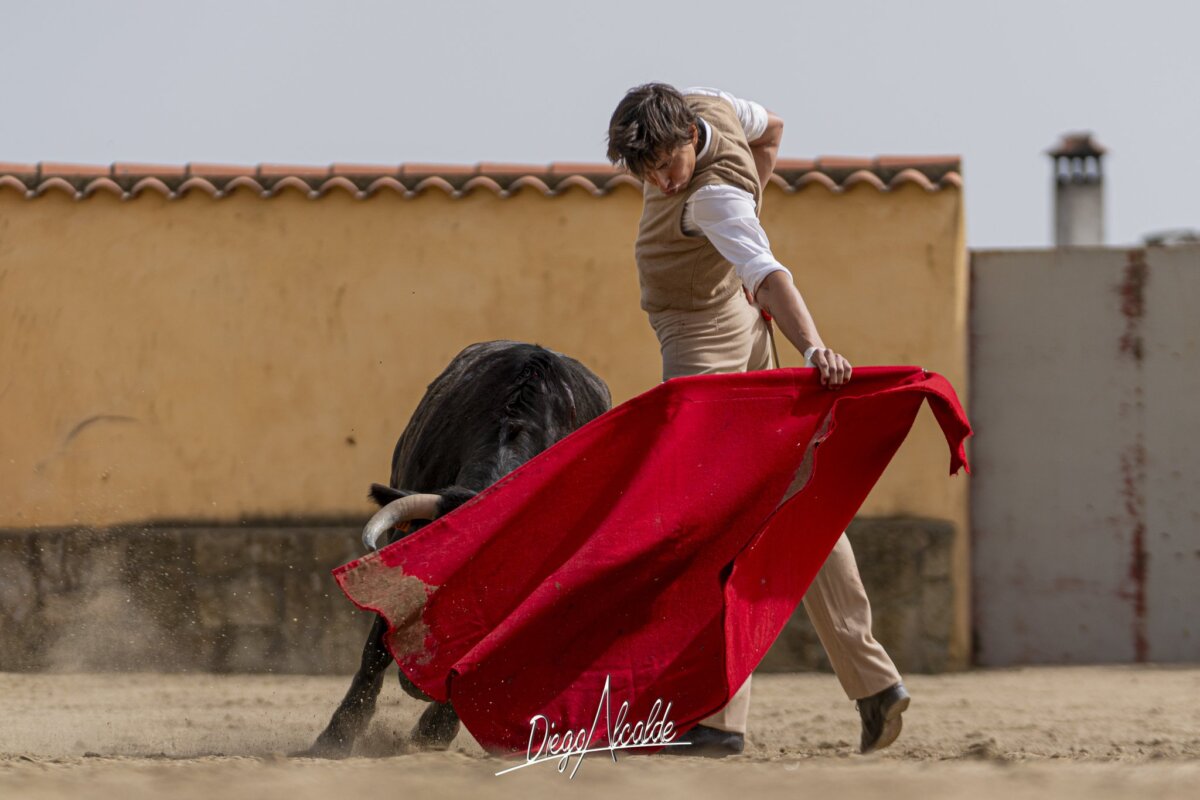 Roca Rey se prepara en Victorino para su gesta de Sevilla