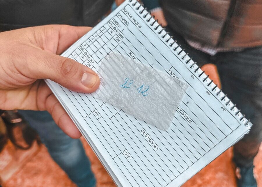 Ponche, el primero de los seis juampedros para Almendralejo