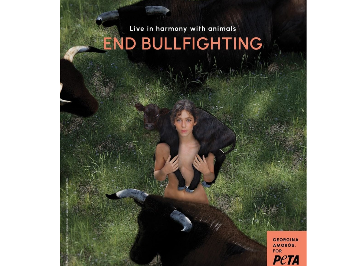 El genial zasca de Cayetano a la campaña antitaurina de Georgina Amorós